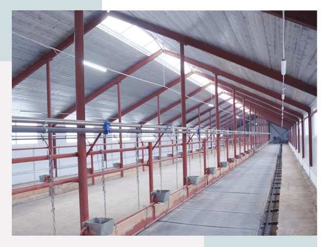 Строительство коровников в Омске от 622 руб.