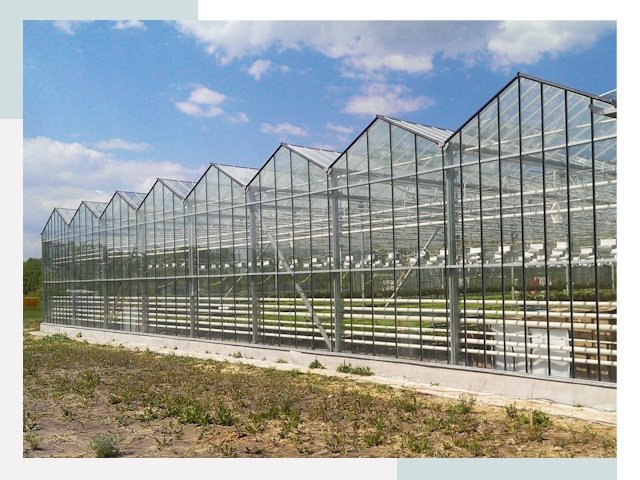 Строительство теплиц в Омск от 622 руб. за м²