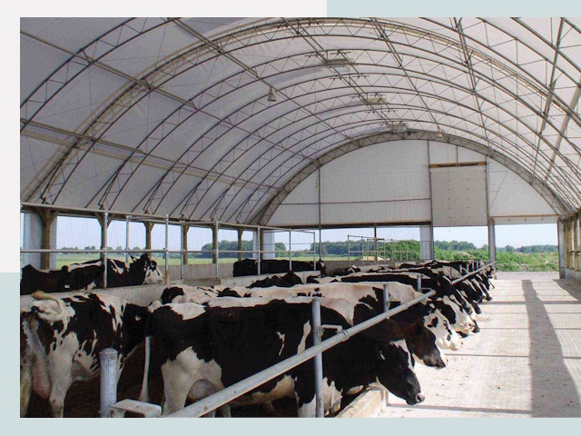 Тентовые коровники в Омске